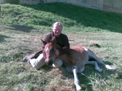 27042009(005)-1.jpg (234.7 KiB) 16432-mal betrachtet 27042009(005)-1.jpg