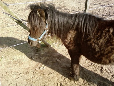 SP_A0392.jpg (187.24 KiB) 6221-mal betrachtet SP_A0392.jpg