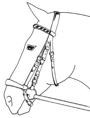 hannoversches_reithalfter.jpg