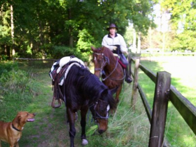 heide.jpg (188.65 KiB) 10218 mal betrachtet joe und achat
