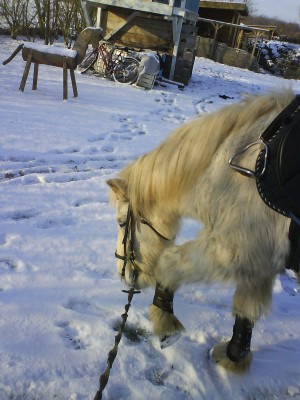 DSC00795.JPG (243.56 KiB) 10209-mal betrachtet DSC00795.JPG