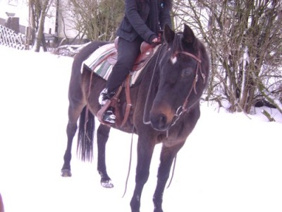 Bild 058.jpg