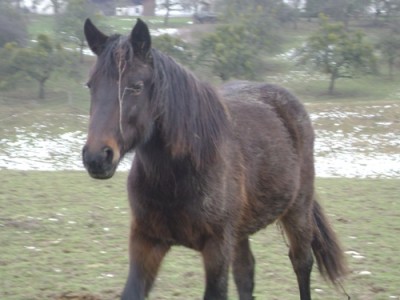 Bild 002.jpg