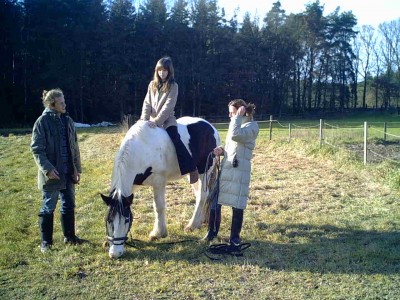 IMG00012.JPG (105.89 KiB) 11021 mal betrachtet Pferd