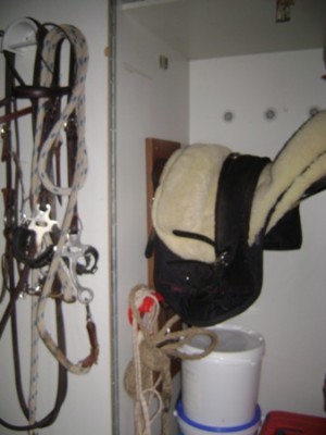 Tiere 012.jpg