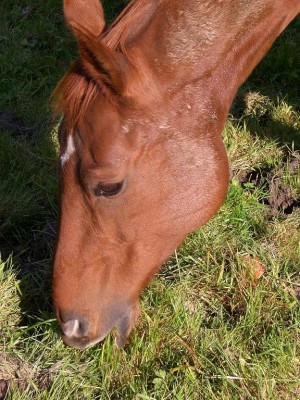 Bild 1256.jpg