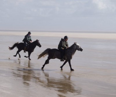 roemoe2.jpg (23.8 KiB) 11397-mal betrachtet roemoe2.jpg