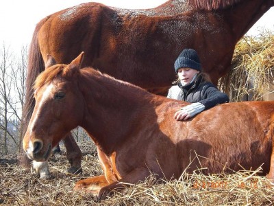 Bild 032.jpg (170.19 KiB) 11401-mal betrachtet Bild 032.jpg