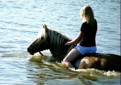 Bild 147.jpg
