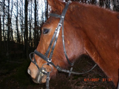 Bild 044.jpg (217.19 KiB) 11903-mal betrachtet Bild 044.jpg