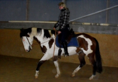 SDC11216.JPG