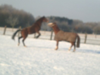 PICT0022.JPG