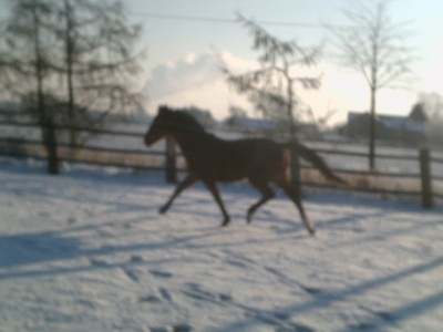 PICT0043.JPG