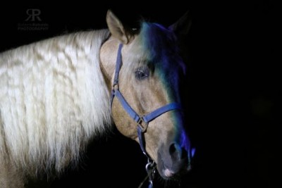 6.jpg (17.79 KiB) 5904-mal betrachtet 6.jpg