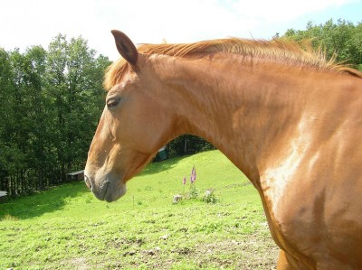 Bild 474.jpg