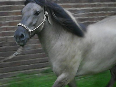 Fototag 063.JPG