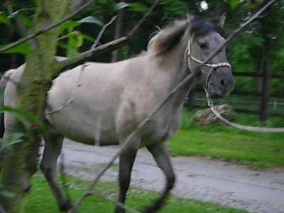 Fototag 078.JPG