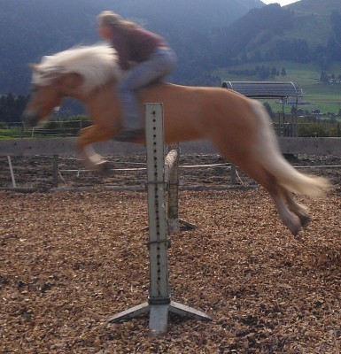 Kopie von CIMG2595.JPG