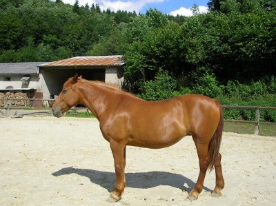 Bild 494.jpg