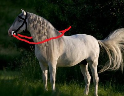 Anda.jpg (28.62 KiB) 8010-mal betrachtet Anda.jpg