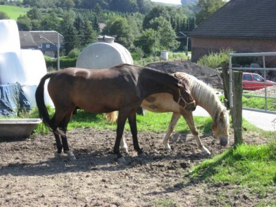 094 (2).JPG (84.77 KiB) 27101-mal betrachtet 094 (2).JPG