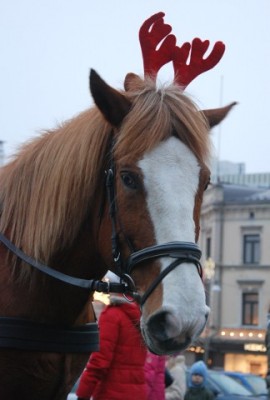 weihnachtspferd.2.jpg