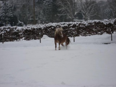 IMG_1143.JPG (41.88 KiB) 13972-mal betrachtet IMG_1143.JPG