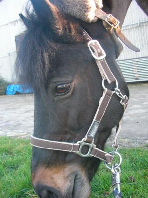 1203110944_f.jpg (35.32 KiB) 8844-mal betrachtet 1203110944_f.jpg