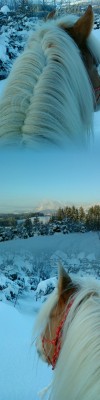DSC00161.JPG