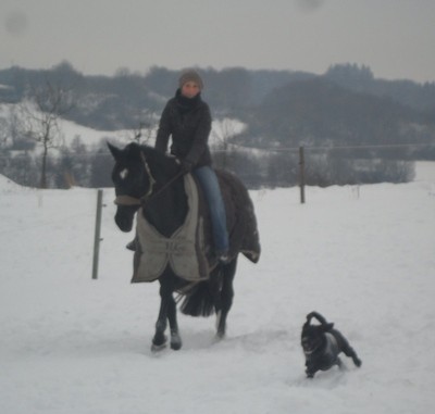 SAM_1187.JPG (57.5 KiB) 14302 mal betrachtet mein Traum ging in Erfüllung...mit Pferd und Hund durch die schneeweiße Natur