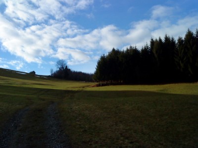 DSC00416.JPG