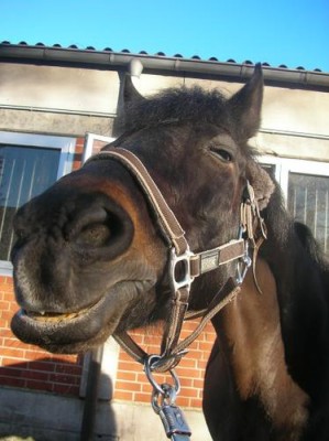 1207340377_f.jpg (32.55 KiB) 11887-mal betrachtet 1207340377_f.jpg