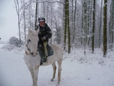 Dahi im Schnee.jpg