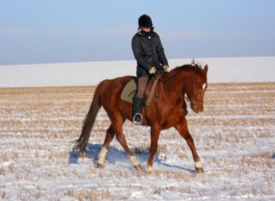 DSCN0332.JPG