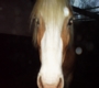 DSC00020.JPG