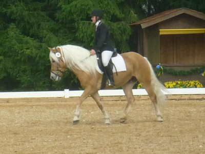 P1020080 (2).JPG