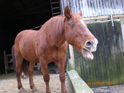 Bild 1479.jpg (117.67 KiB) 12172-mal betrachtet Bild 1479.jpg